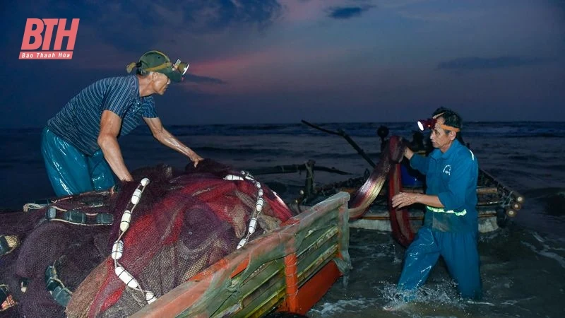 Bình minh ở làng chài ven biển xứ Thanh