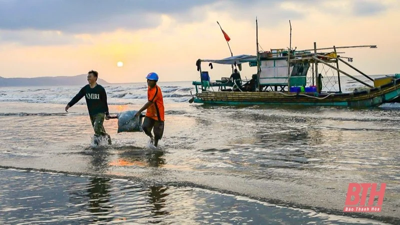 Bình minh ở làng chài ven biển xứ Thanh