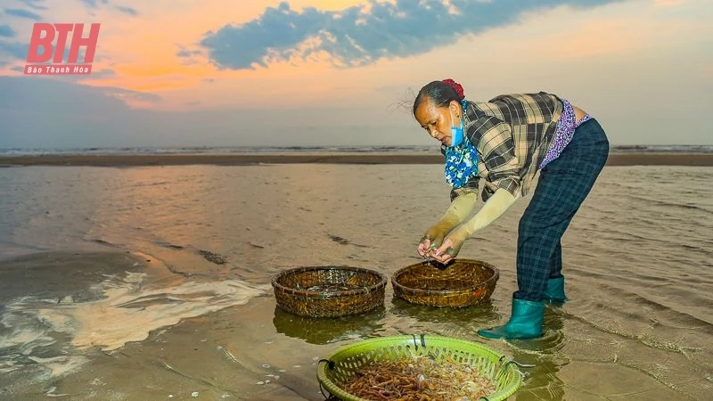 Bình minh ở làng chài ven biển xứ Thanh