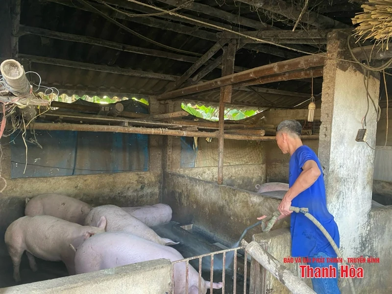 Bảo đảm an toàn cho đàn vật nuôi mùa nắng nóng