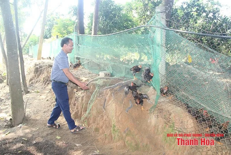 Chàng kỹ sư mỏ về quê khai phá vùng đồi
