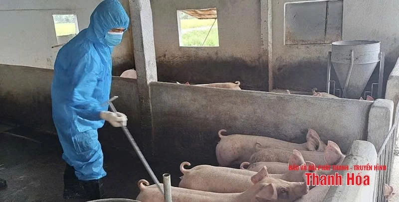 Tạo “lá chắn” phòng, chống dịch bệnh