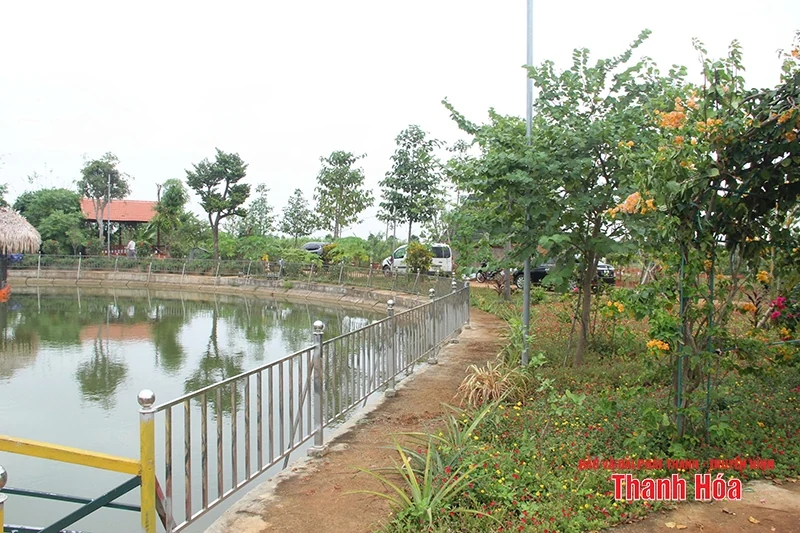 Phát triển trang trại theo hướng du lịch