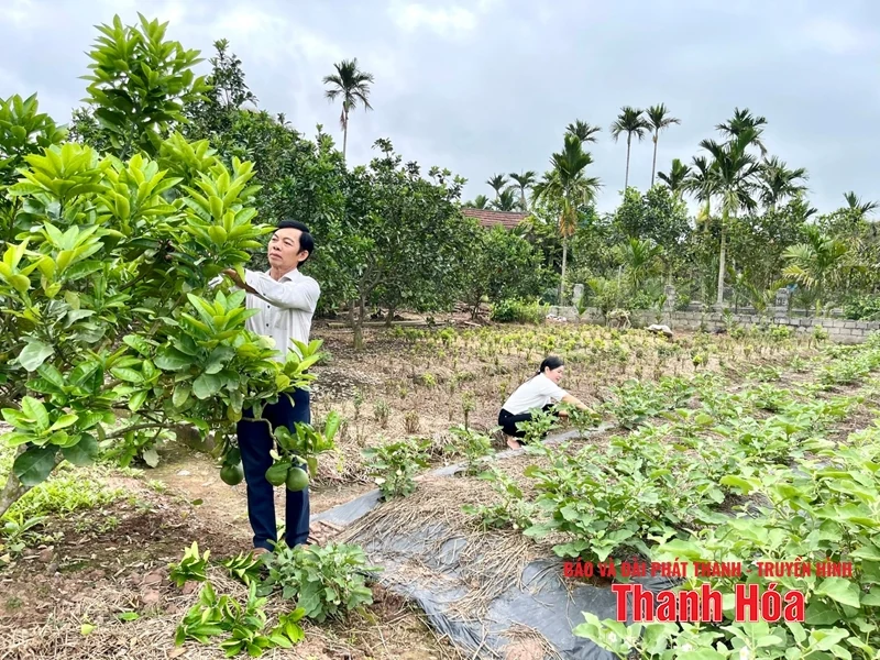 Sống “tốt đời, đẹp đạo” trong đồng bào công giáo huyện Nga Sơn