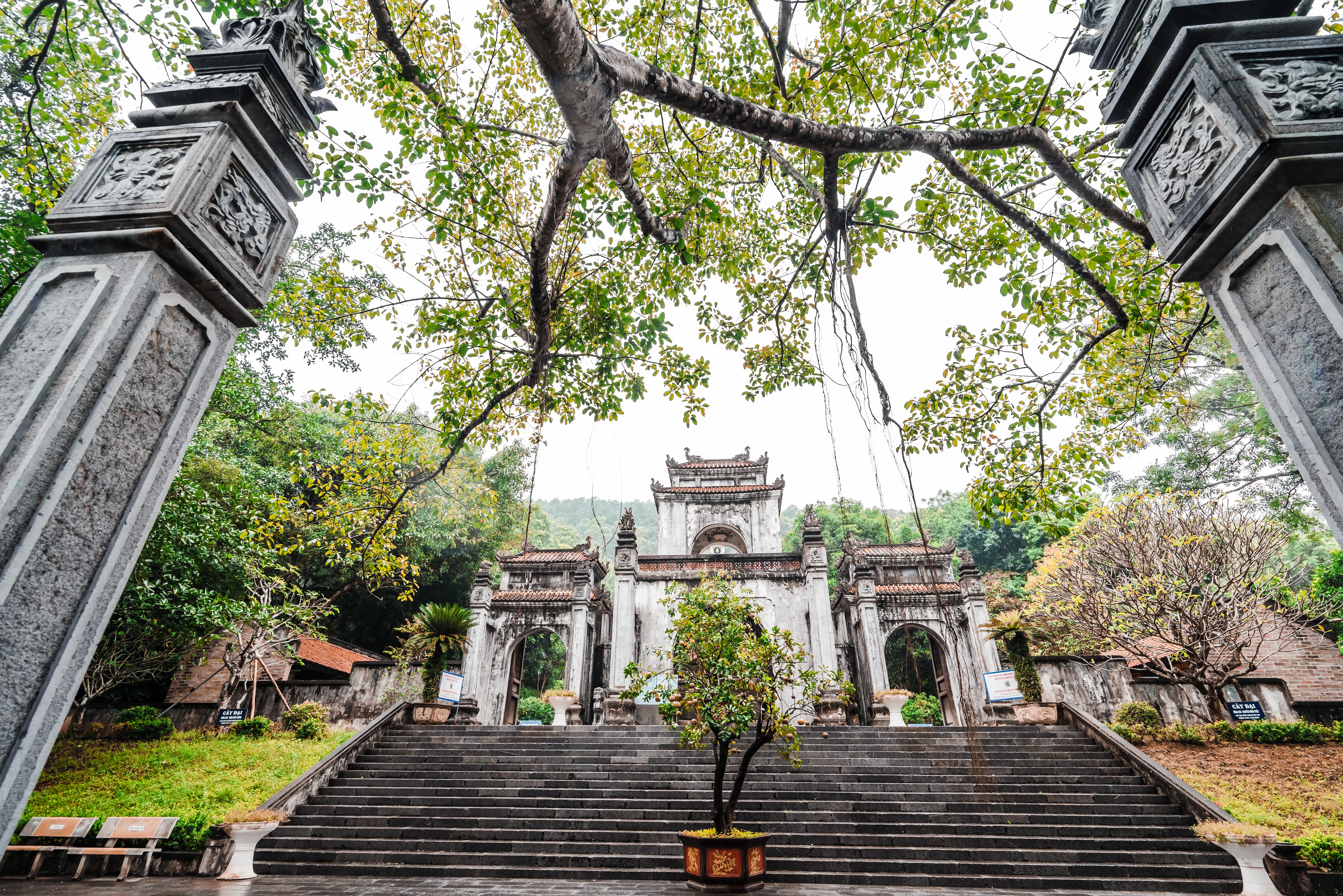 Đảng bộ Sở Văn hóa, Thể thao và Du lịch Thanh Hoá - Dấu ấn nhiệm kỳ