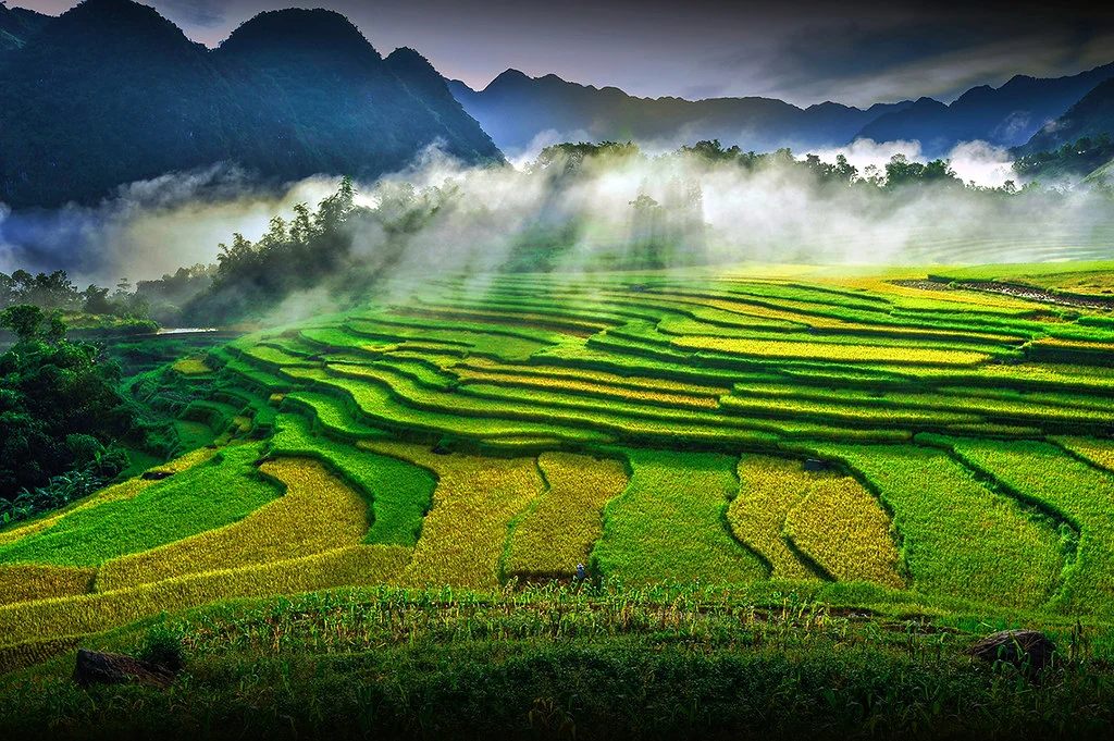 Đảng bộ Sở Văn hóa, Thể thao và Du lịch Thanh Hoá - Dấu ấn nhiệm kỳ