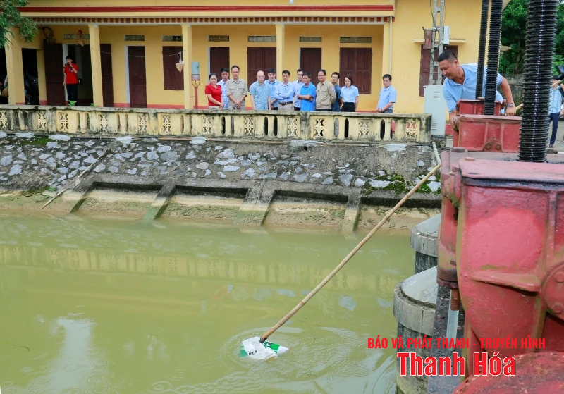 Giám đốc Sở Nông nghiệp và Môi trường kiểm tra tình trạng xác động vật vứt trôi nổi trên kênh