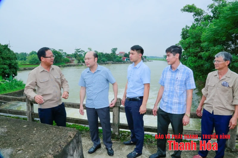 Giám đốc Sở Nông nghiệp và Môi trường kiểm tra tình trạng xác động vật vứt trôi nổi trên kênh