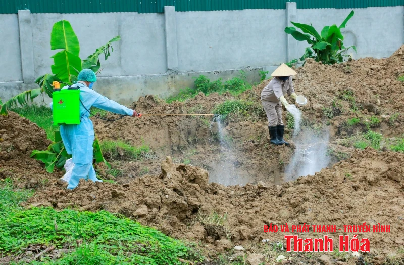 Giám đốc Sở Nông nghiệp và Môi trường kiểm tra tình trạng xác động vật vứt trôi nổi trên kênh