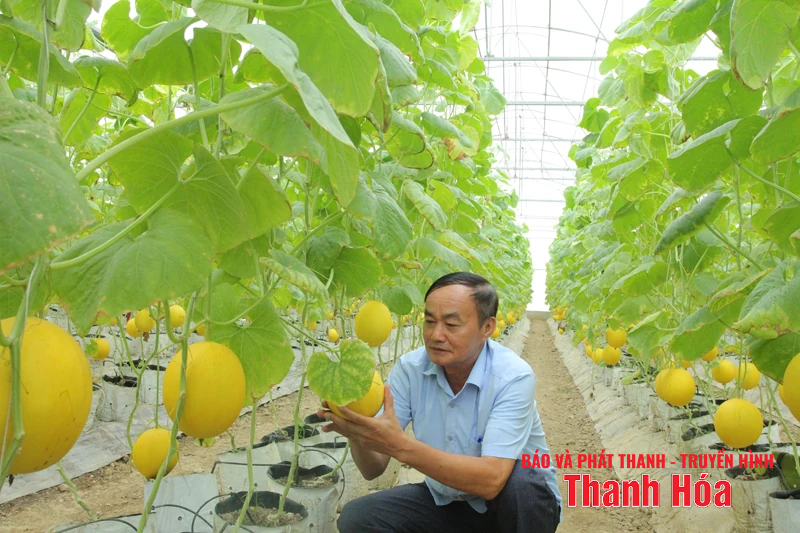 Điểm sáng sản xuất nông nghiệp ứng dụng công nghệ cao