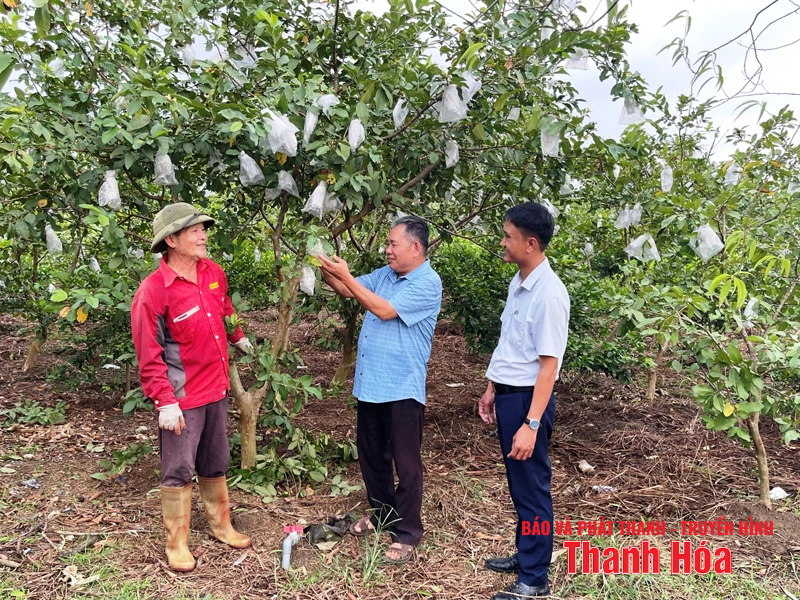 “Cầu nối” đưa nghị quyết của Đảng vào cuộc sống