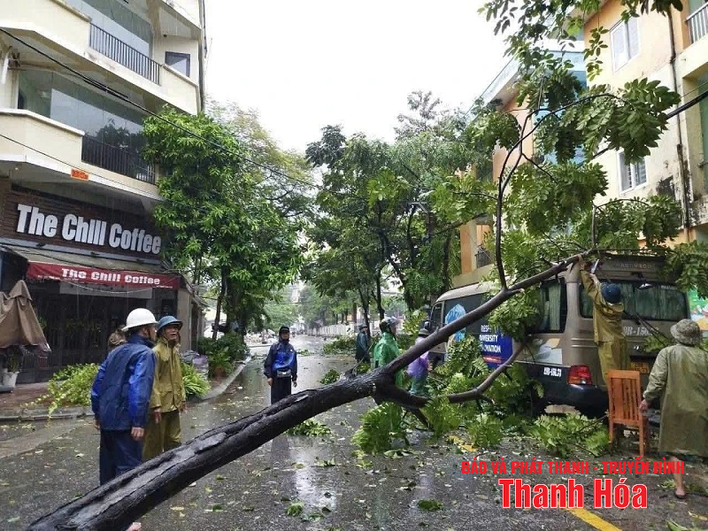 Mưa và gió giật mạnh khiến hàng loạt cây xanh gãy đổ