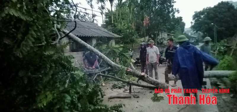 Mưa và gió giật mạnh khiến hàng loạt cây xanh gãy đổ