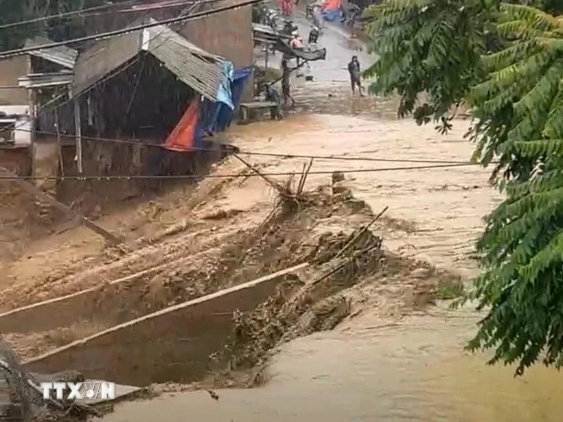 Đề nghị các tỉnh, thành phố đảm bảo an toàn đê điều để ứng phó bão và mưa lũ