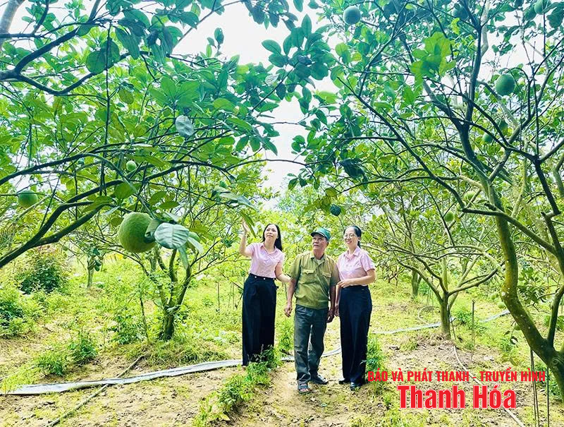 Kịp thời giải ngân nguồn vốn tín dụng ưu đãi cho hộ nghèo và các đối tượng chính sách