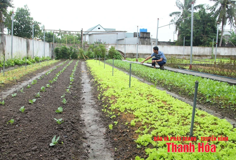 Nâng giá trị đất vườn theo tiêu chí nông thôn mới