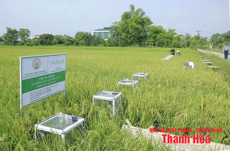 “Cú hích” tạo tầm vóc mới