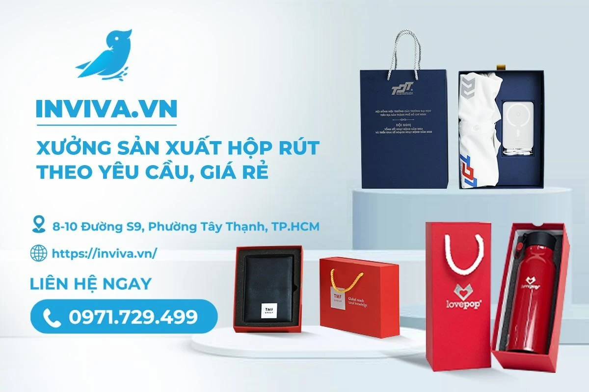 3+ mẫu hộp rút cao cấp, thiết kế đẹp, hot 2025