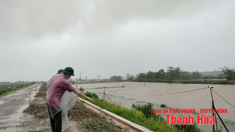 Chủ động, linh hoạt giảm thiểu thiệt hại do bão số 3 gây ra