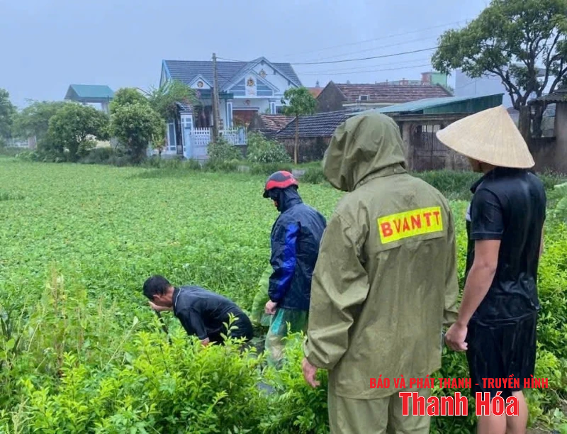 Các địa phương, đơn vị linh hoạt giải pháp ứng phó bão số 3