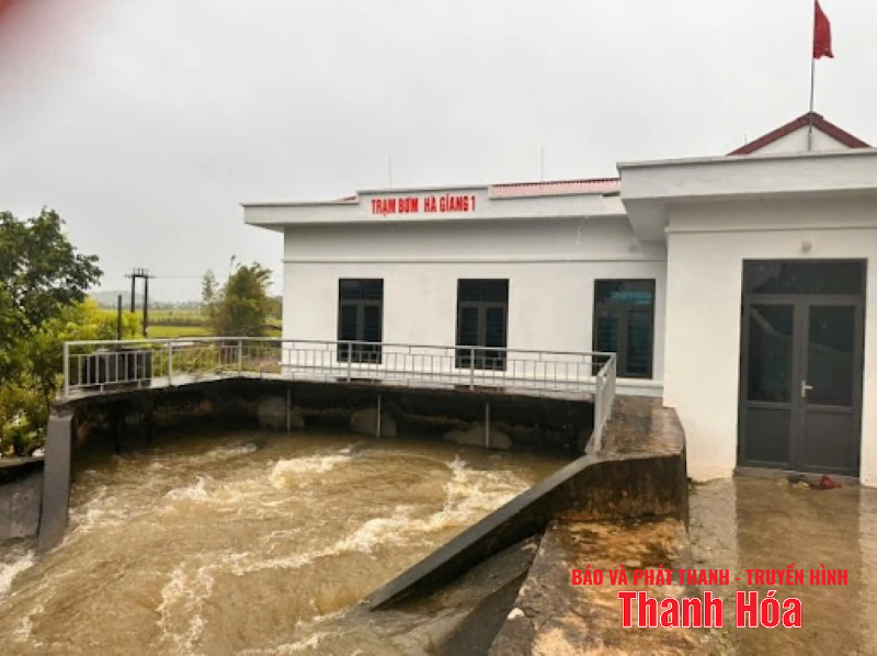 Vận hành 34 trạm bơm tiêu úng chủ động để bảo vệ sản xuất nông nghiệp