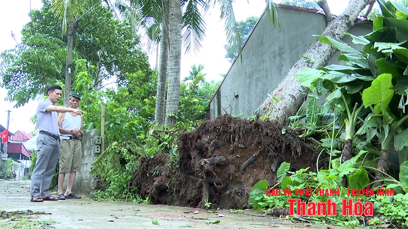 Các địa phương trên địa bàn tỉnh Thanh Hóa gấp rút triển khai công tác ứng phó bão số 3
