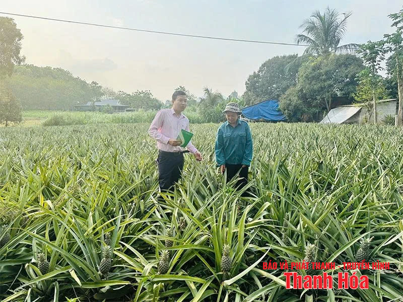 Đầu tư nguồn vốn tín dụng phát triển kinh tế