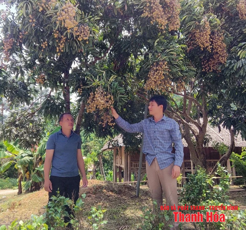 Trưởng bản 8X nhiệt huyết