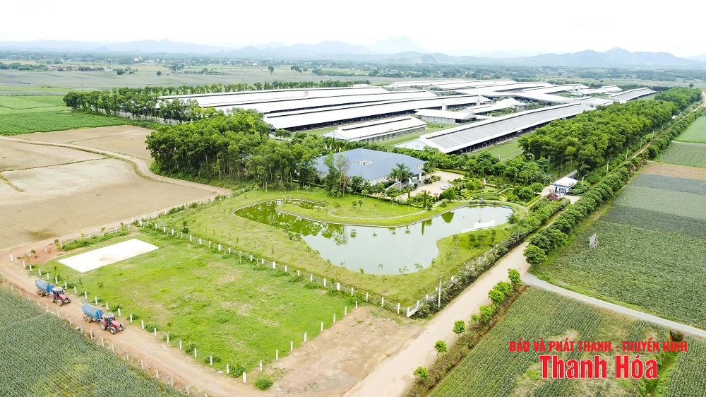 Vinamilk Green Farm Thanh Hóa - Phát triển trang trại xanh, nông nghiệp bền vững hướng đến mục tiêu Net Zero