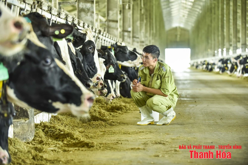 Vinamilk Green Farm Thanh Hóa - Phát triển trang trại xanh, nông nghiệp bền vững hướng đến mục tiêu Net Zero