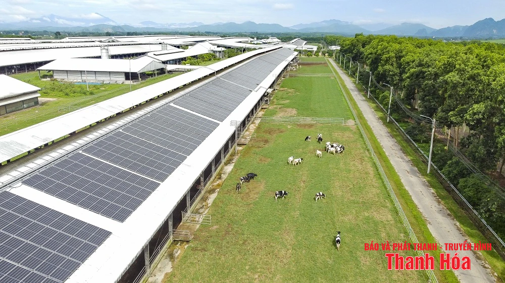 Vinamilk Green Farm Thanh Hóa - Phát triển trang trại xanh, nông nghiệp bền vững hướng đến mục tiêu Net Zero