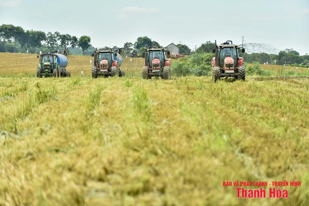 Vinamilk Green Farm Thanh Hóa - Phát triển trang trại xanh, nông nghiệp bền vững hướng đến mục tiêu Net Zero