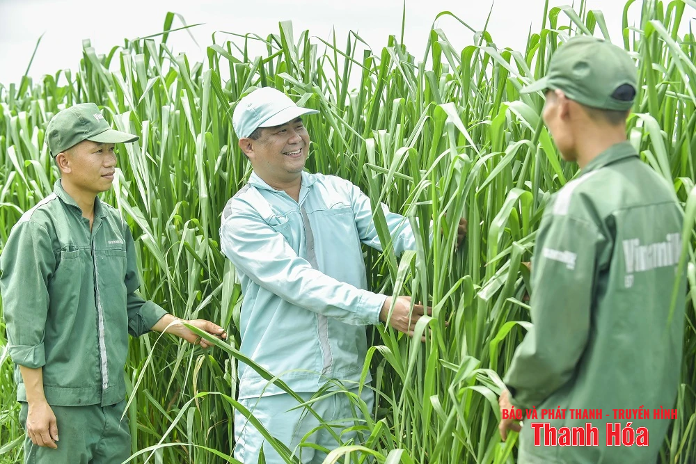 Vinamilk Green Farm Thanh Hóa - Phát triển trang trại xanh, nông nghiệp bền vững hướng đến mục tiêu Net Zero