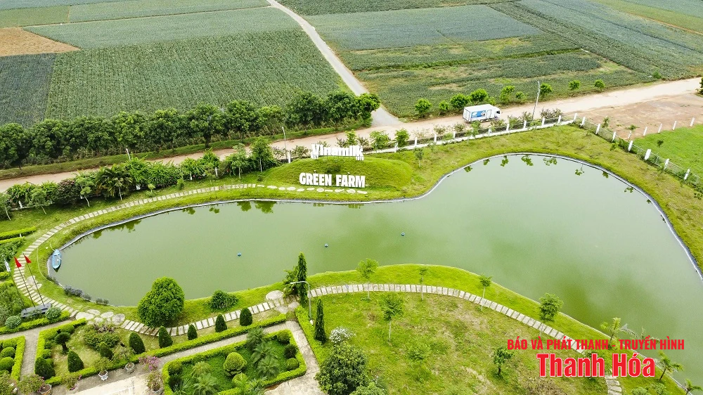 Vinamilk Green Farm Thanh Hóa - Phát triển trang trại xanh, nông nghiệp bền vững hướng đến mục tiêu Net Zero