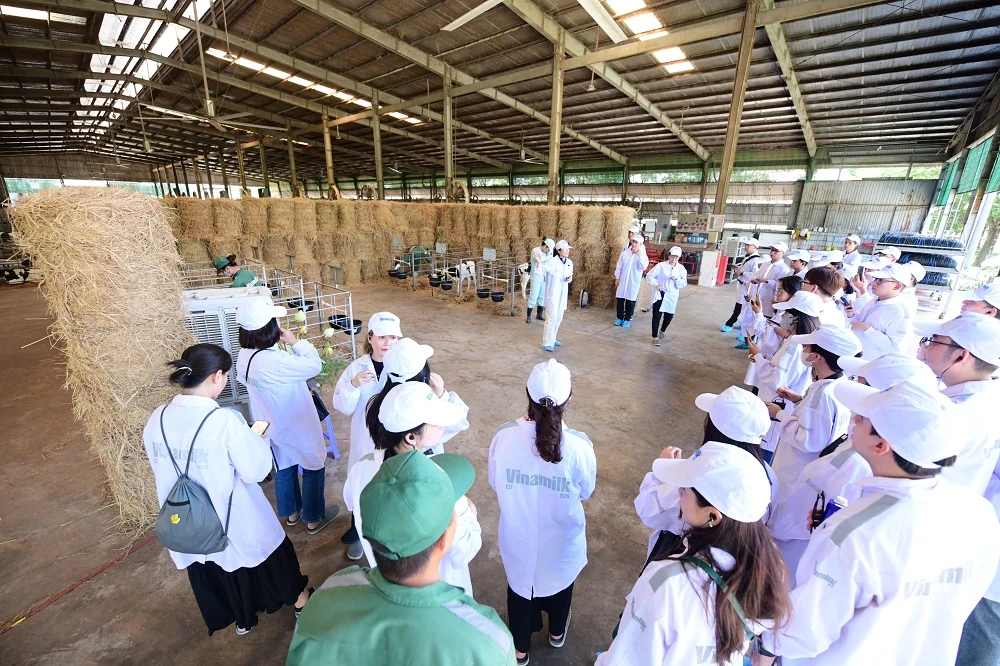 “Mở khóa tự nhiên”: Vinamilk biến rào cản thành vòng tuần hoàn xanh tại trang trại sinh thái