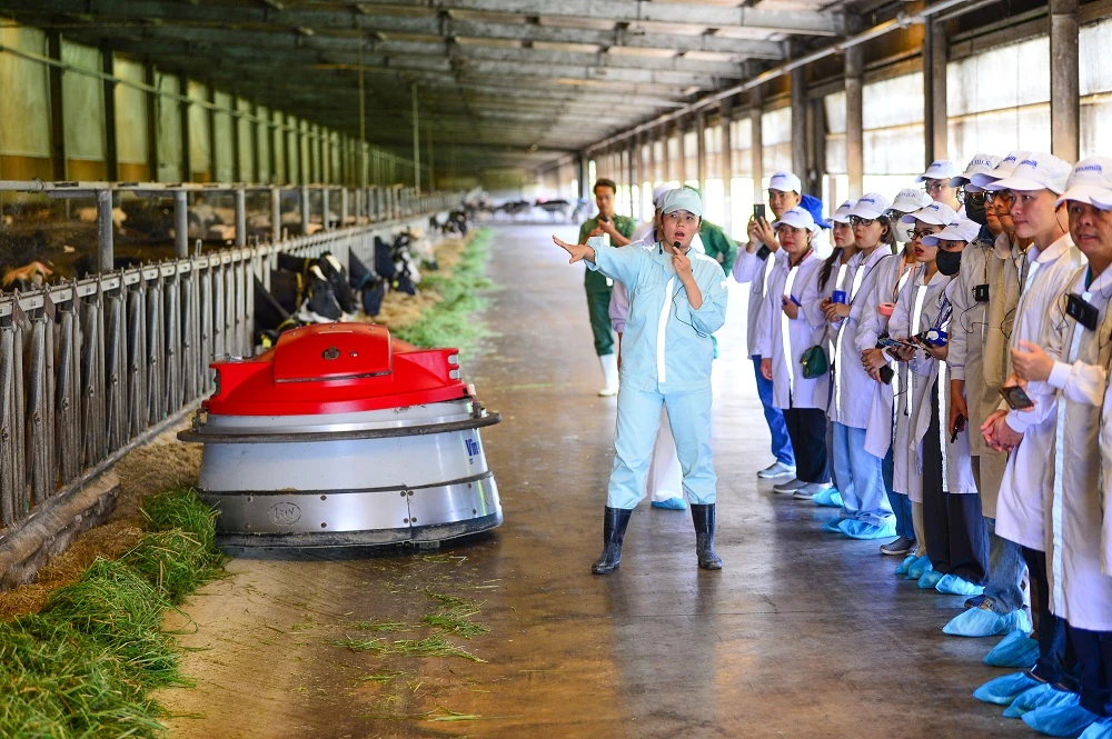 “Mở khóa tự nhiên”: Vinamilk biến rào cản thành vòng tuần hoàn xanh tại trang trại sinh thái