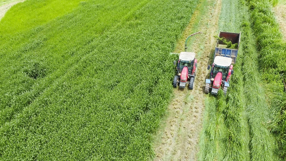 “Mở khóa tự nhiên”: Vinamilk biến rào cản thành vòng tuần hoàn xanh tại trang trại sinh thái