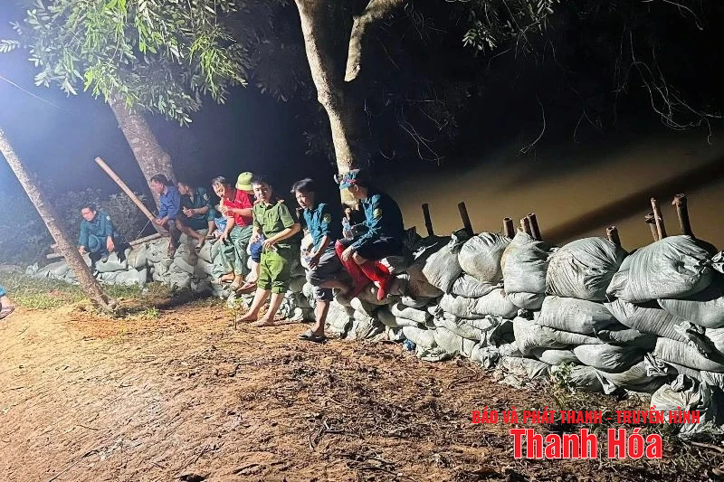 Gia cố, đảm bảo an toàn đê tại xã Triệu Sơn