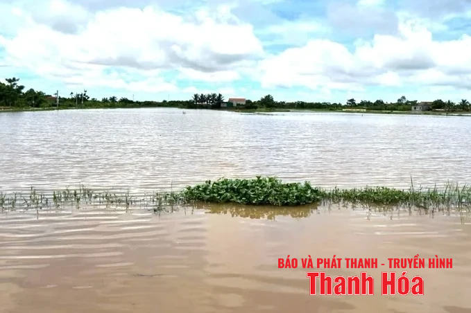 Chủ động ứng phó với mưa lớn, nguy cơ xảy ra lũ, ngập lụt, lũ quét, sạt lở đất