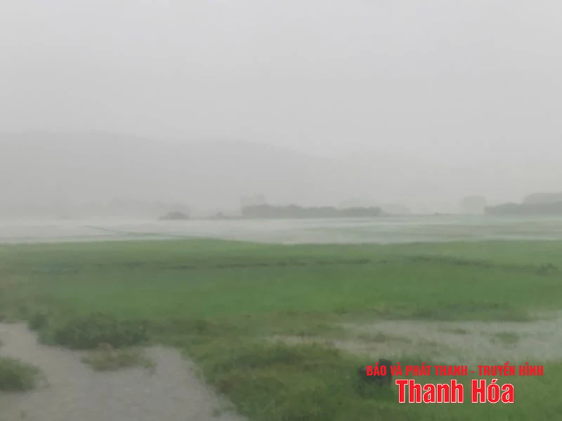 Các địa phương, đơn vị linh hoạt giải pháp ứng phó bão số 3