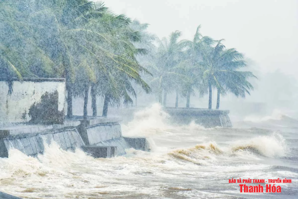 Sóng biển dâng cao, mưa ngút trời khi bão Wipha áp sát đất liền