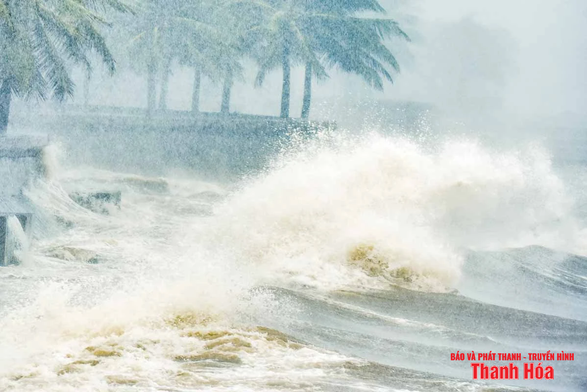 Sóng biển dâng cao, mưa ngút trời khi bão Wipha áp sát đất liền