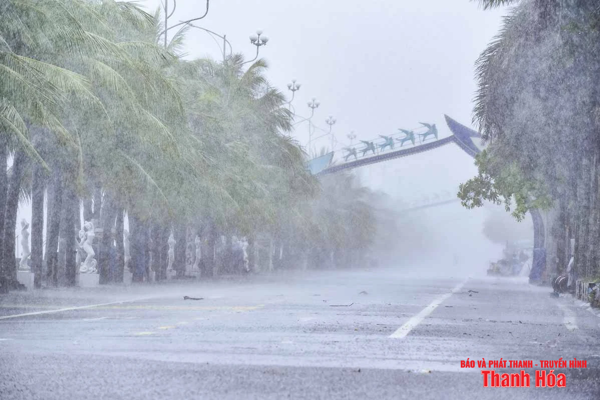 Sóng biển dâng cao, mưa ngút trời khi bão Wipha áp sát đất liền