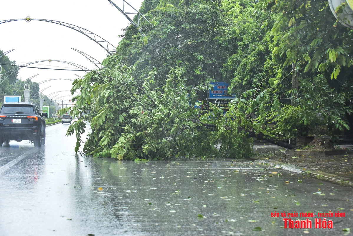 Cây xanh bật gốc, biển hiệu gãy đổ do bão số 3