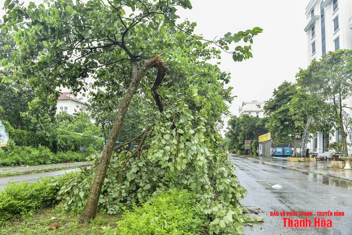 Cây xanh bật gốc, biển hiệu gãy đổ do bão số 3