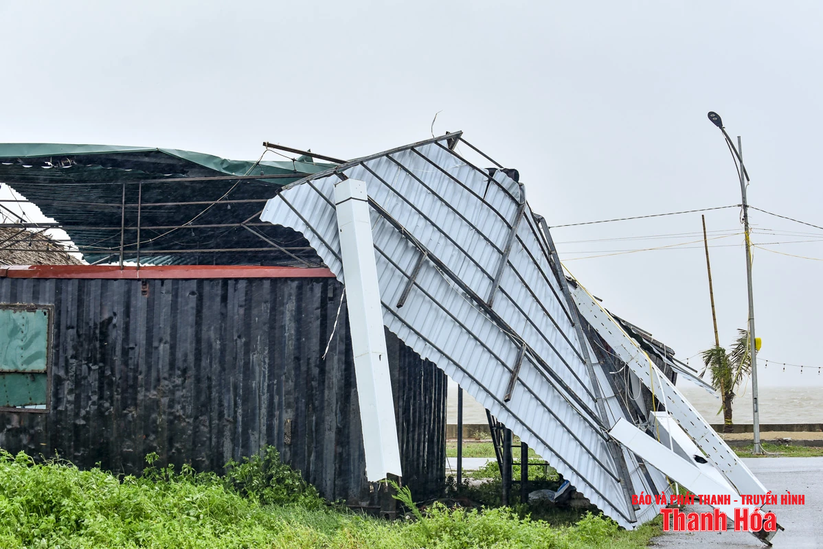 Cây xanh bật gốc, biển hiệu gãy đổ do bão số 3