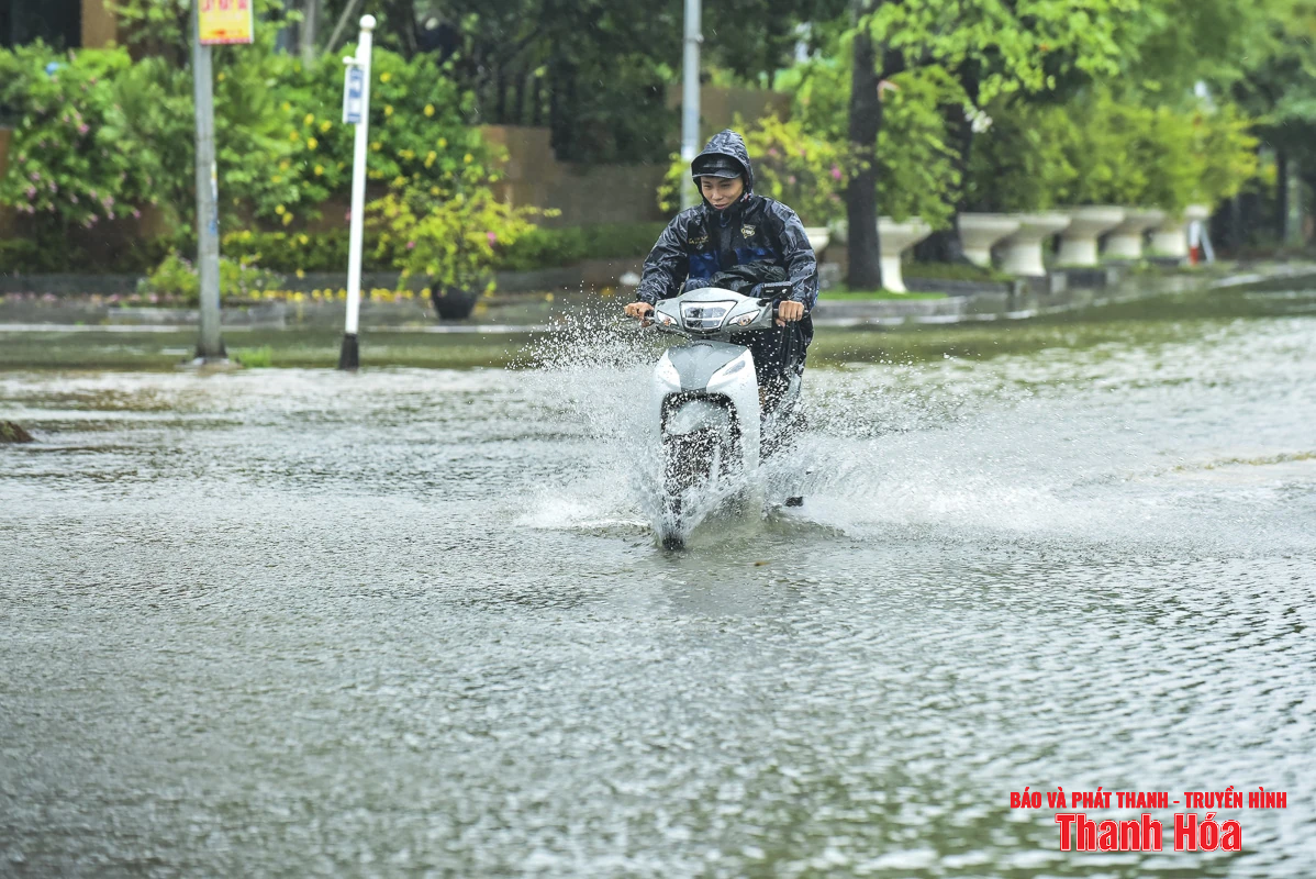 Cây xanh bật gốc, biển hiệu gãy đổ do bão số 3