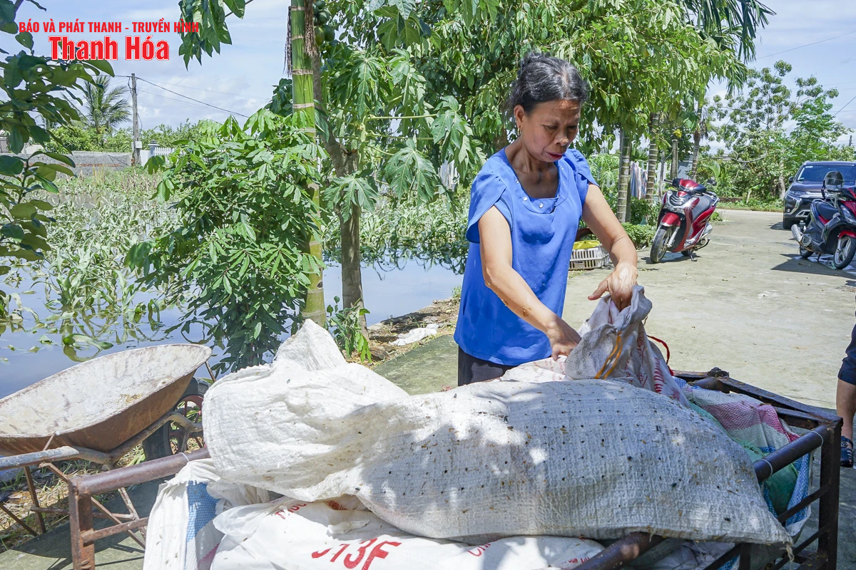 Sau bão số 3, hàng nghìn con gà bị nước lũ nhấn chìm, người chăn nuôi thiệt hại nặng