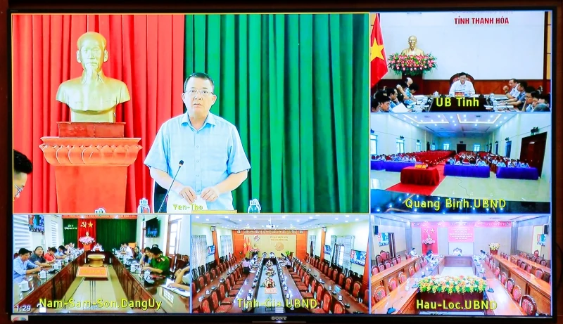 Cấp bách triển khai các nhiệm vụ phòng, chống bệnh dịch tả lợn Châu Phi