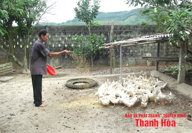 Tiên phong trên mặt trận mới